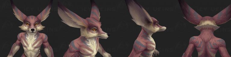 ears 11.jpg